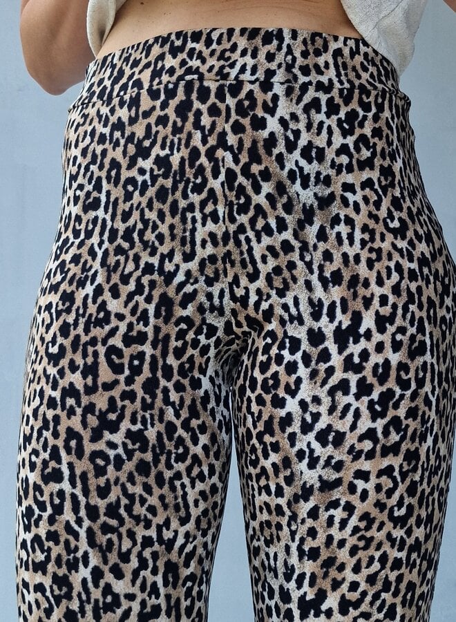 Flared pants | leopardprint | tall | lengtemaat 36